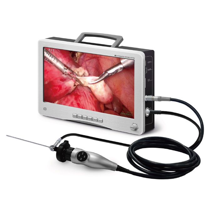 Portable Endoscope